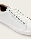 Brody Leather Low Top Trainers