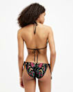 Jamilia Embellished Bikini Bottoms