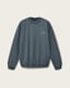 Icon Oversized Crew Neck Sweatshirt
