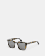 Phoenix Square Sunglasses