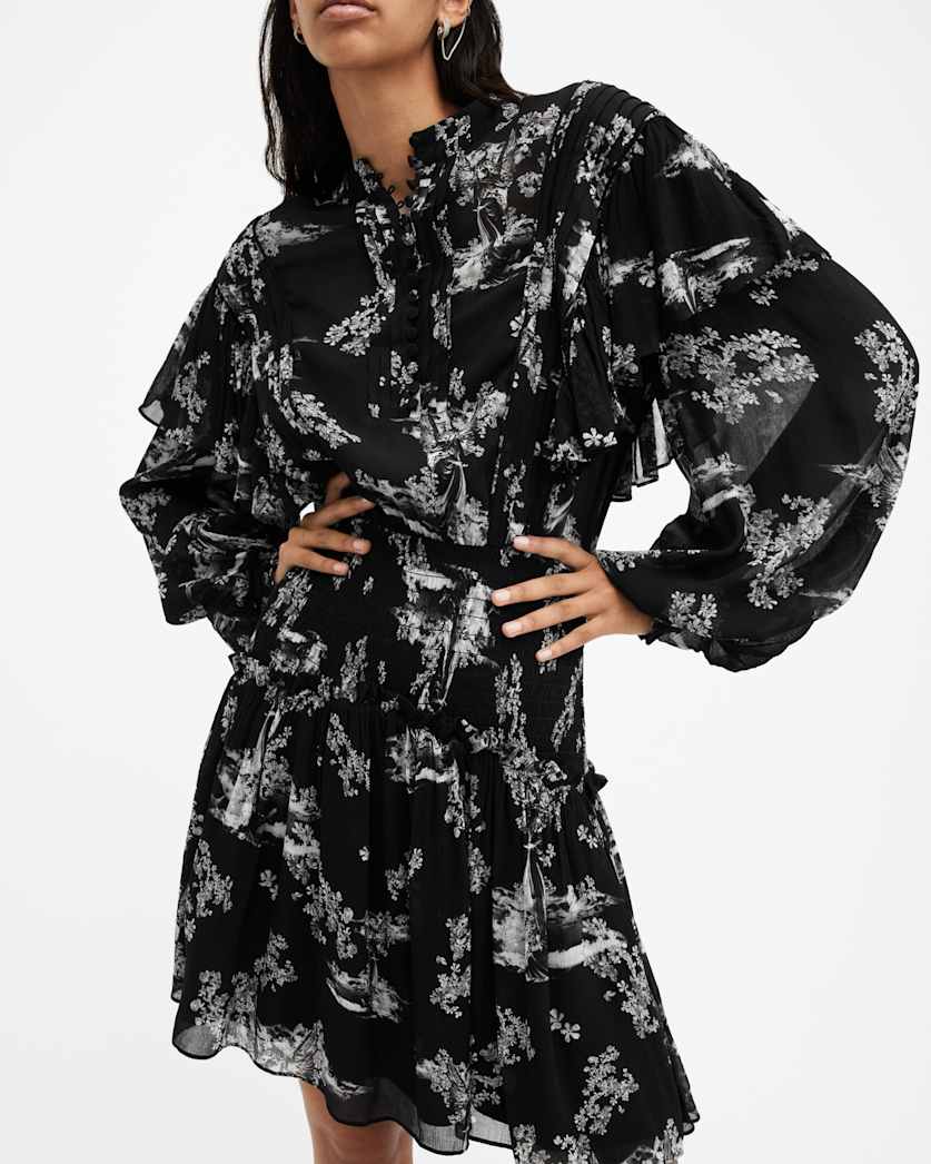 Aubrey Sheer Frill Mini Dress