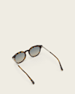 Van Panto Framed Sunglasses