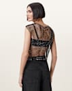 Calytrix Sparkle Top