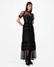 Ryla Polka Dot Mesh Maxi Dress