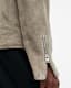 Cora Suede Snap Back Collar Jacket