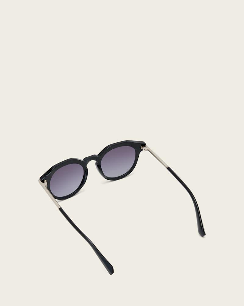 Van Panto Framed Sunglasses