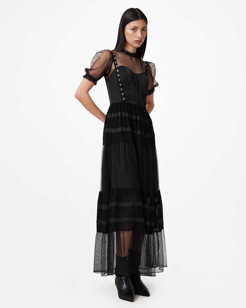 Ryla Polka Dot Mesh Maxi Dress