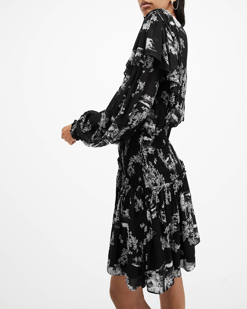 Aubrey Sheer Frill Mini Dress