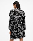Aubrey Sheer Frill Mini Dress