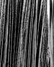 Jax Pleated Midi Skirt
