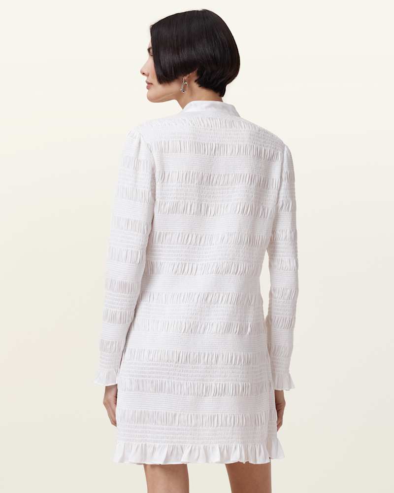 Meg Shirred Mini Shirt Dress