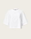 Trip Lottie Cropped T-Shirt