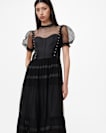 Ryla Polka Dot Mesh Maxi Dress