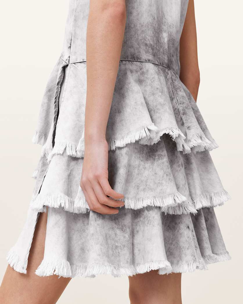 Cavarly Ruffled Mini Dress