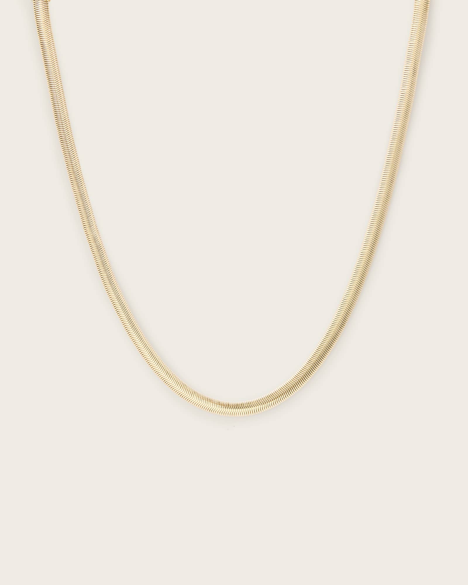 AllSaints Brass Eden Chain Necklace
