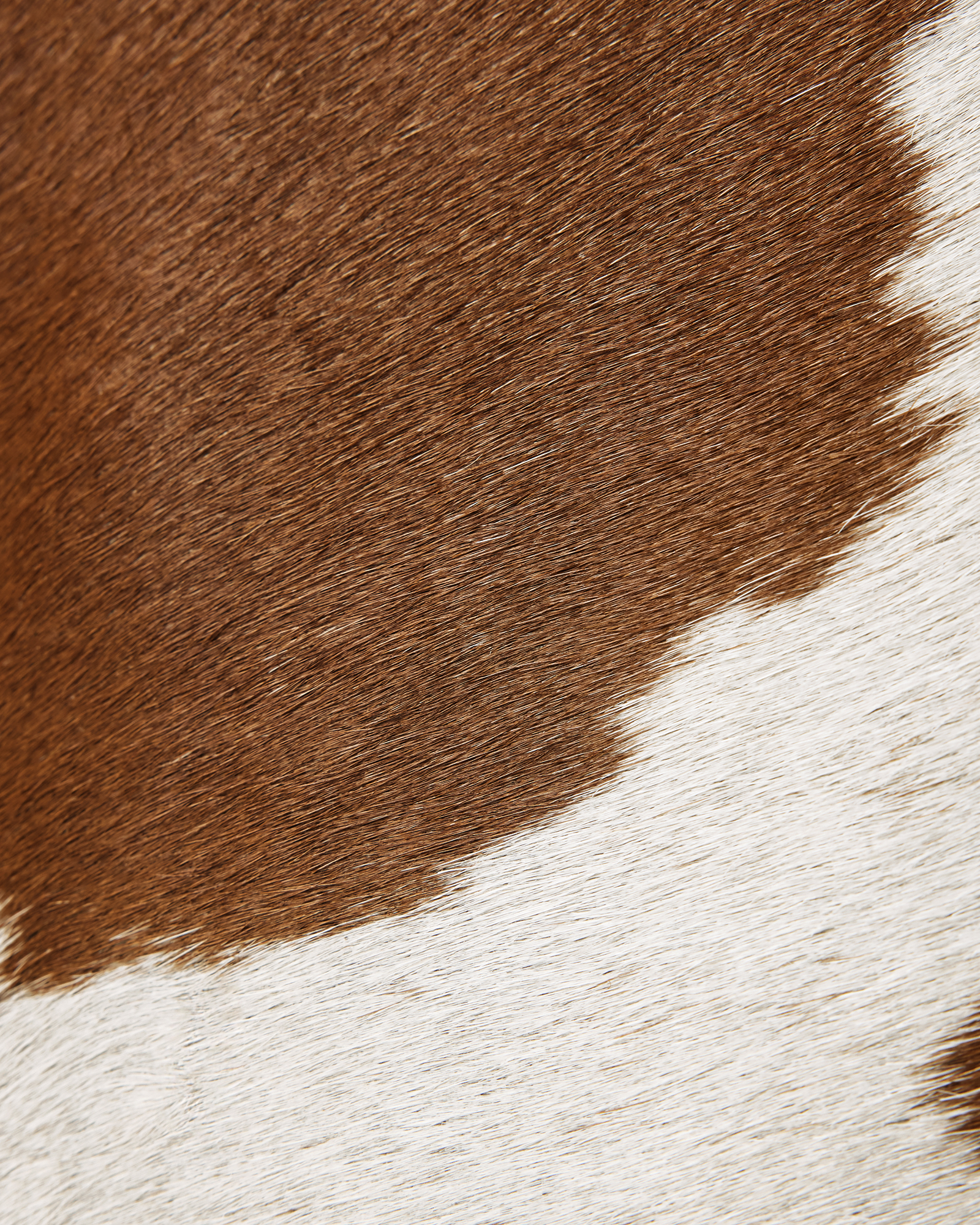 COW LEATHER