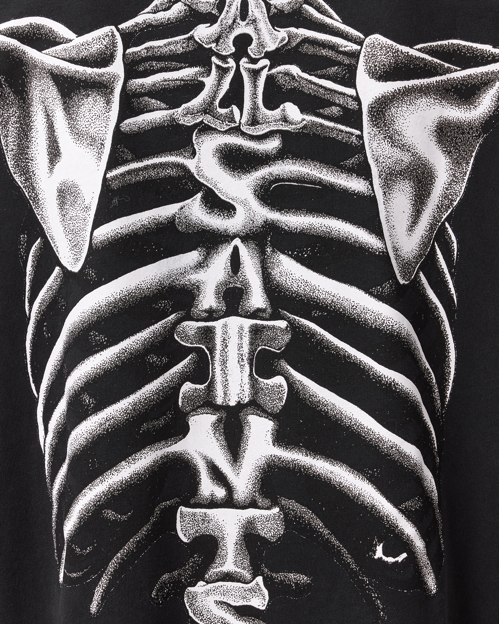 ANATOMICAL GRAPHIC